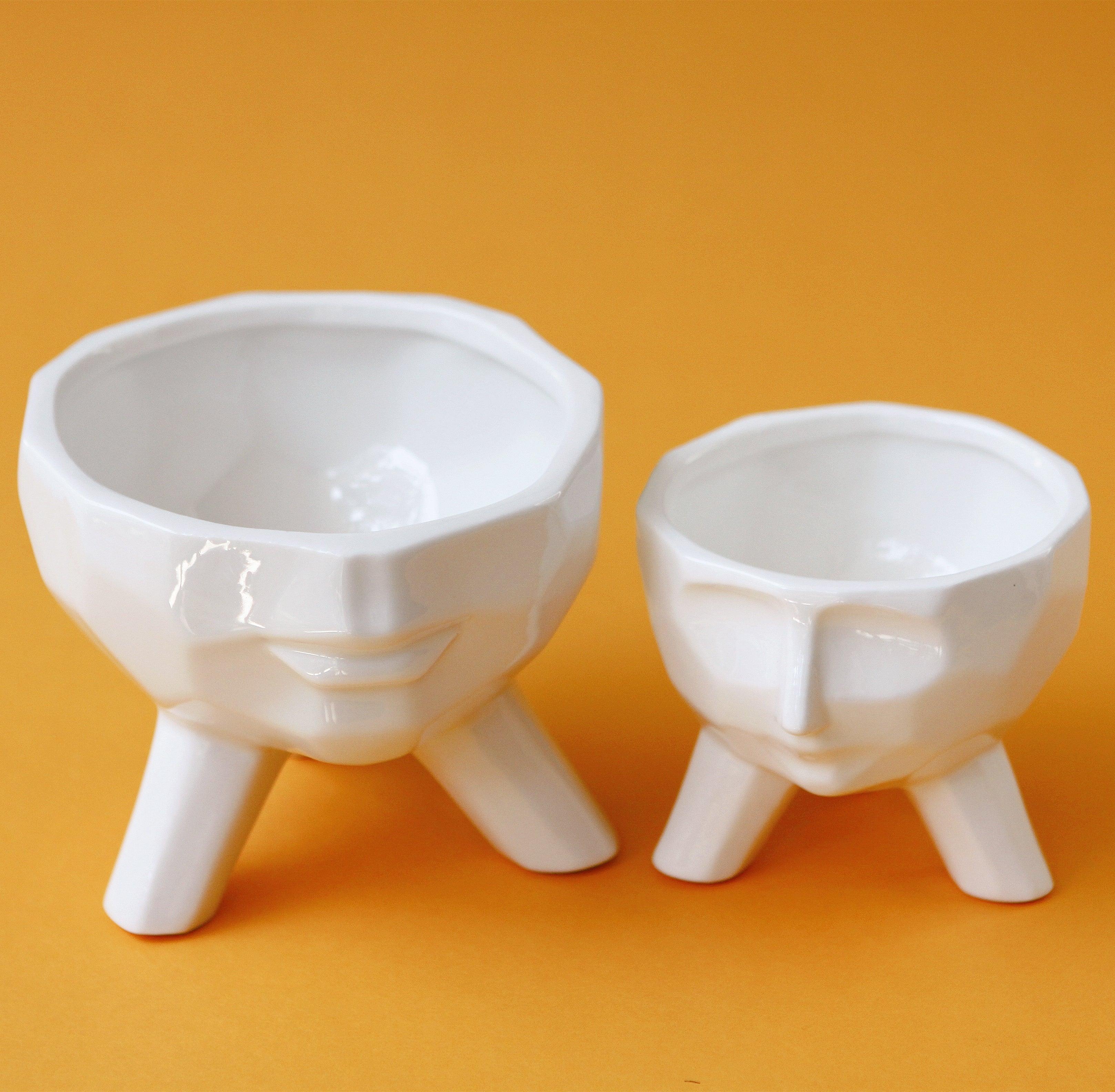 2-Piece White Ceramic Facial Succulent Planters